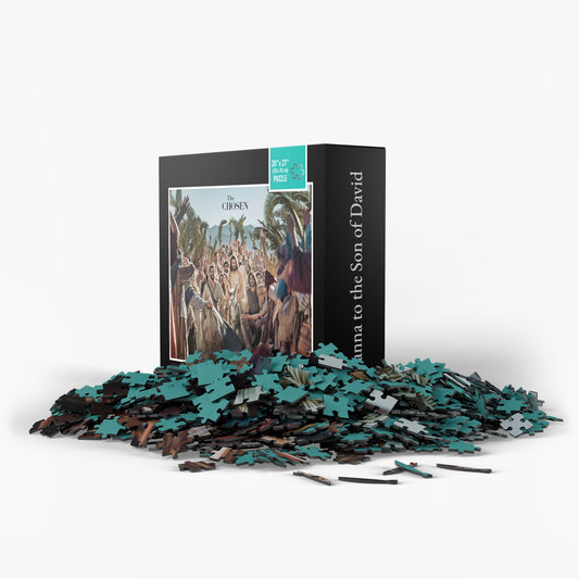 The Triumphal Entry Puzzle