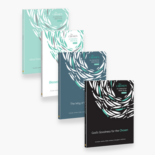 Seasons 1, 2, 3 & 4 Bible Study Guide Bundle